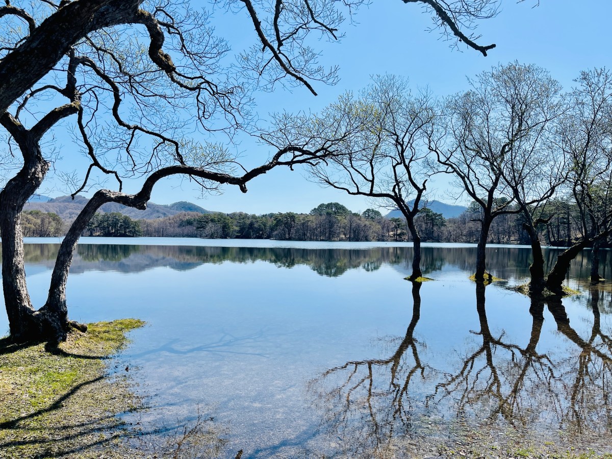 自然ほど美しいものはありません.